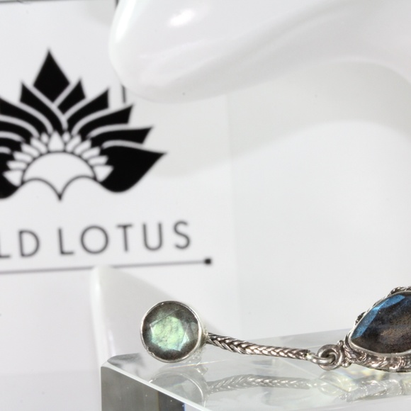 Labradorite Splendor Earrings - Picture 3 of 3